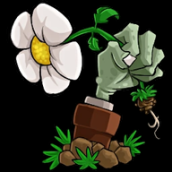 植物大战僵尸转基因版