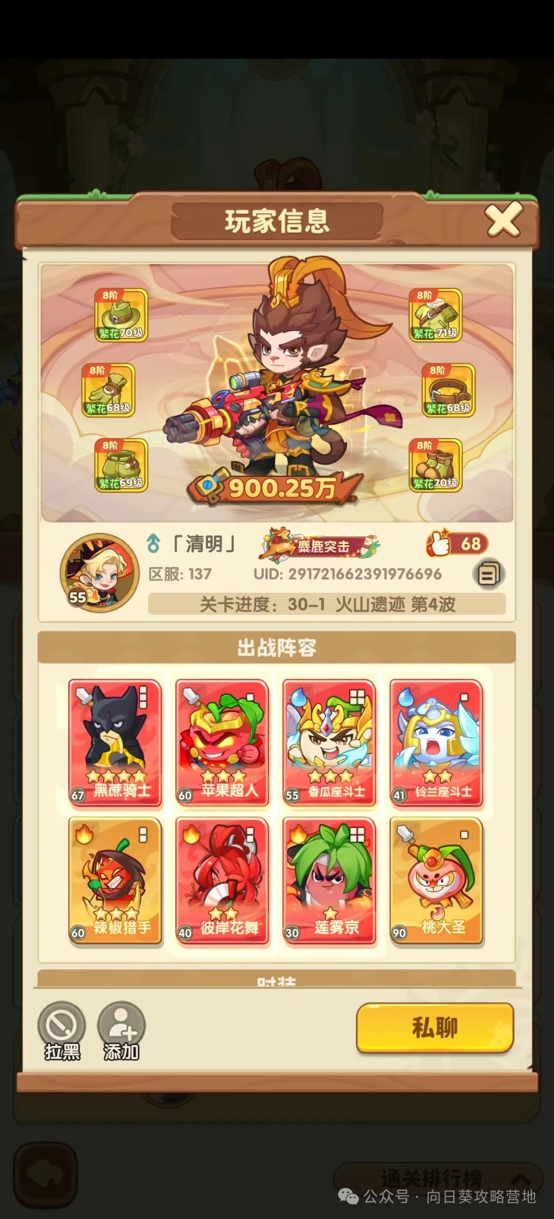 保卫向日葵双系阵容玩法全解析