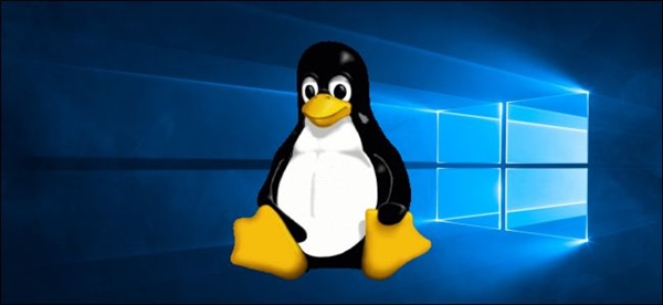 创历史新高！超90%游戏已支持Linux系统运行：不升级Win10，能否替代Win11？