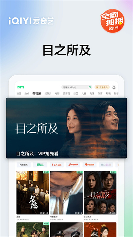 爱奇艺PAD直装版(3)