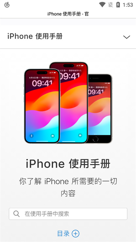 Safari图1
