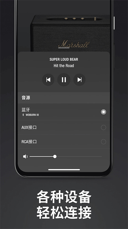 MarshallBluetooth图3