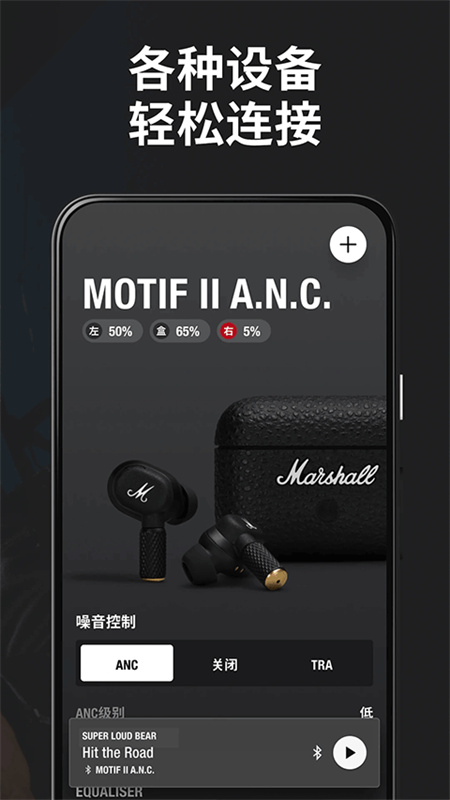 MarshallBluetooth图2
