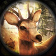 模拟猎人 v1.0.0.0122