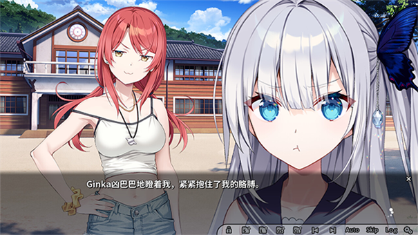 GINKA图1
