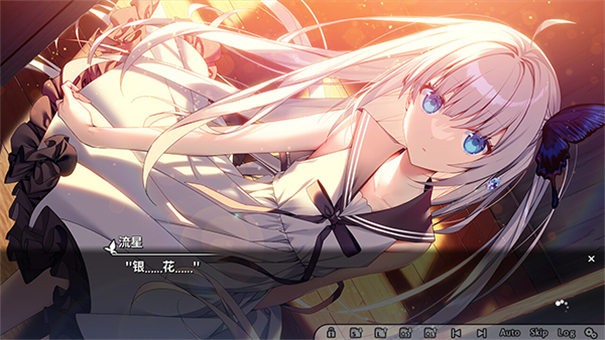 GINKA图5