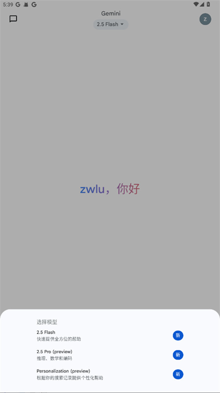Google gemini图2