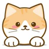 橘猫4k
