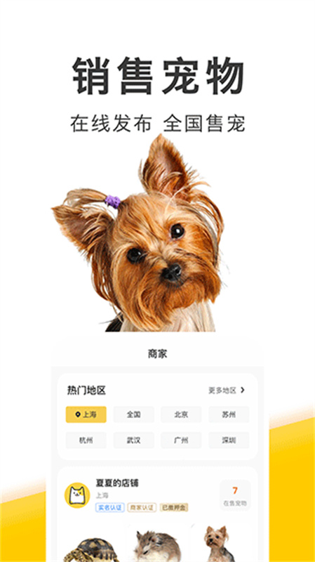 买只宠物图4