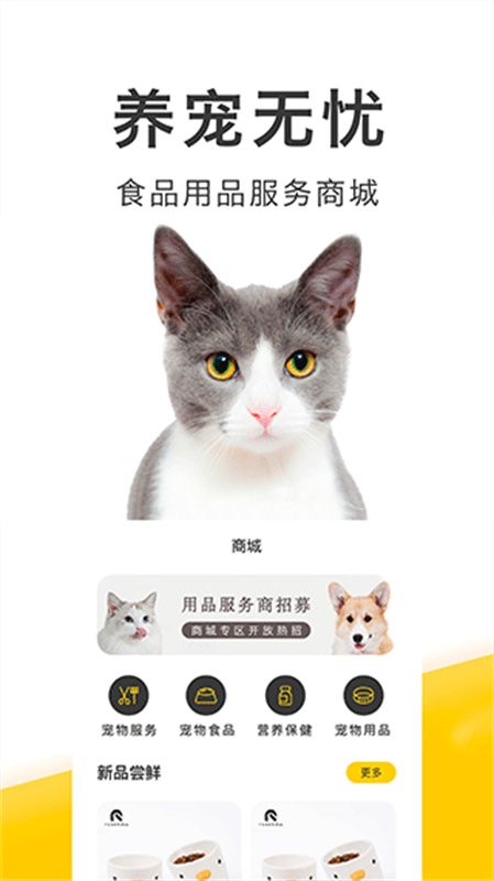 买只宠物图3