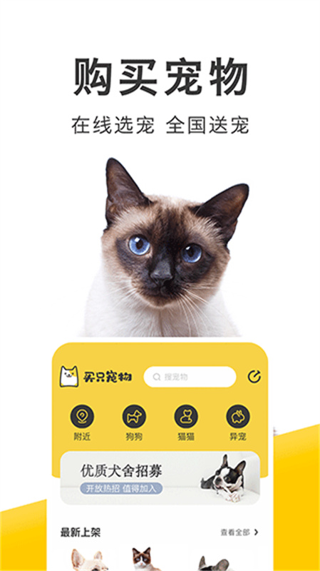 买只宠物图2