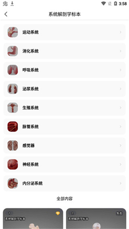 医维度解剖图1