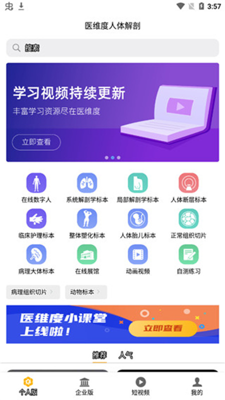 医维度解剖图3