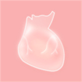 life生命模拟器 v1.0