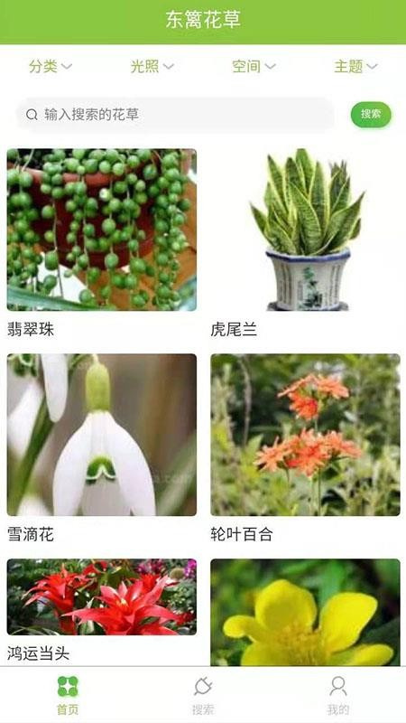 东篱花草手机版