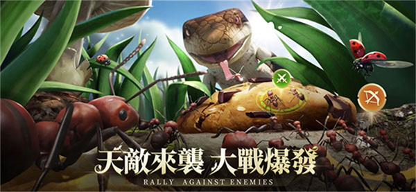 小小蚁国最新版(1)