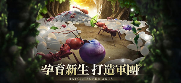 小小蚁国最新版(2)