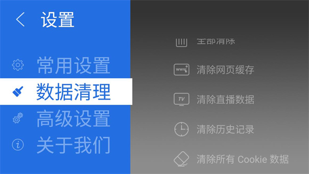 飞视浏览器TV版图3