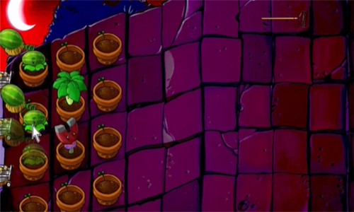pvz活死人之园(2)