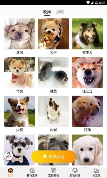跑狗翻译图2