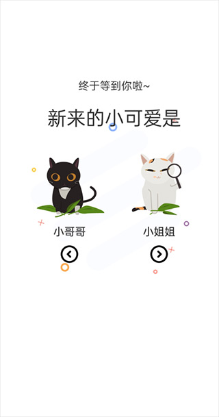 喵上漫画(1)