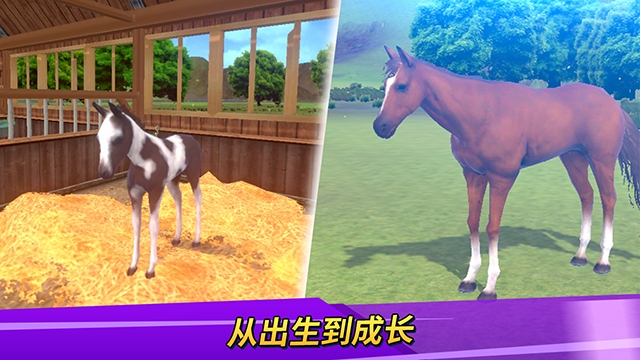德比生活(3)