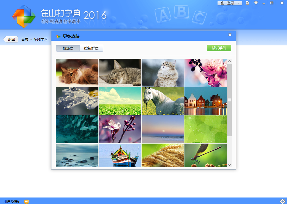 金山打字通手机版图4