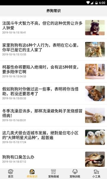 跑狗翻译图3