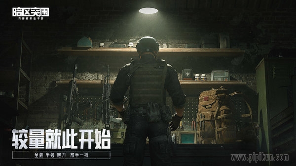 暗区突围国际版(3)