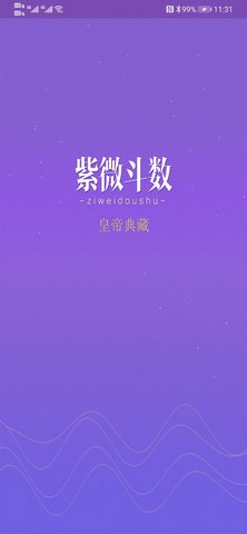 紫微斗数生辰八字图5