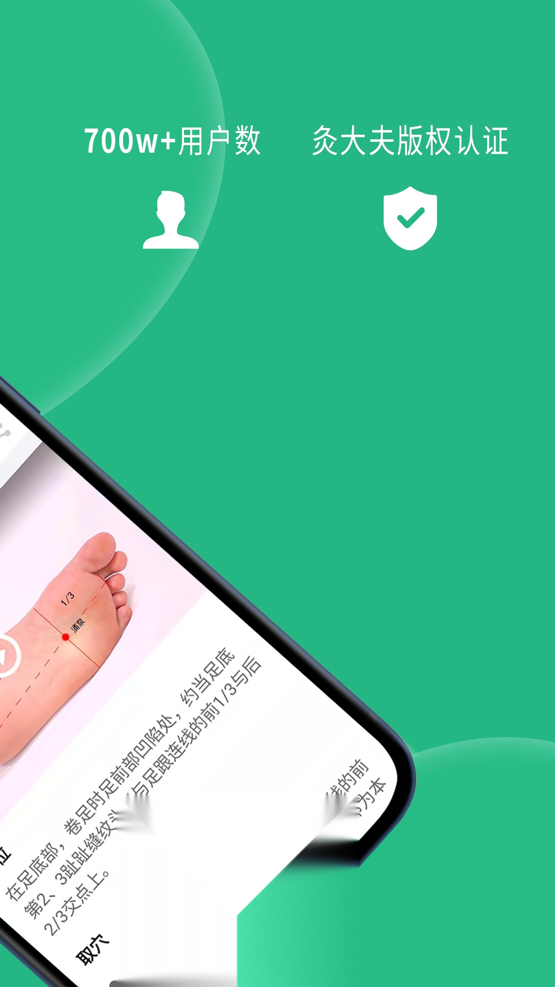 经络穴位图解官方最新版图2