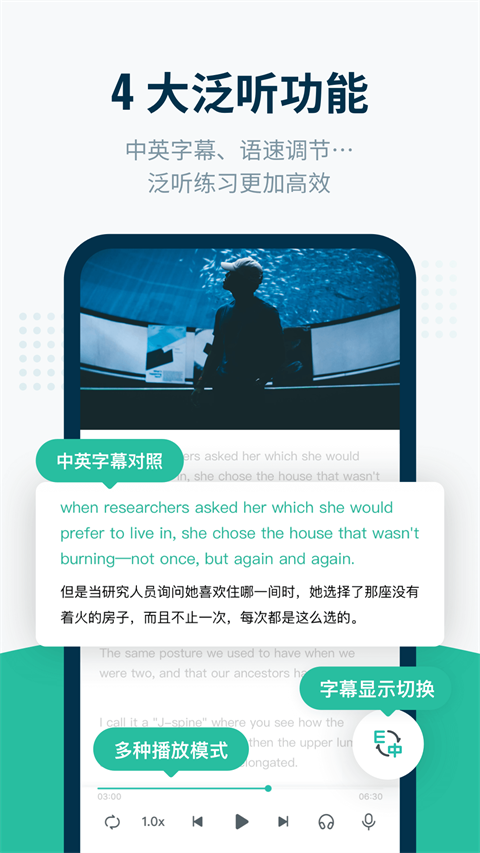 扇贝听力