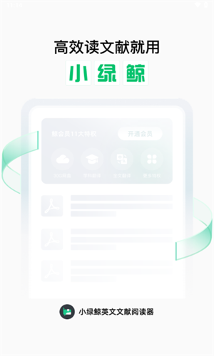 小绿鲸