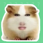 猪妞语音盒 V1.0