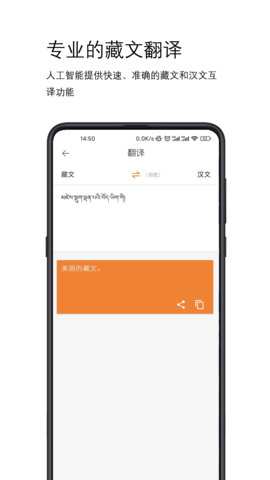 简藏汉(2)