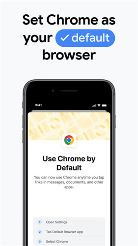 chrome安卓版(2)