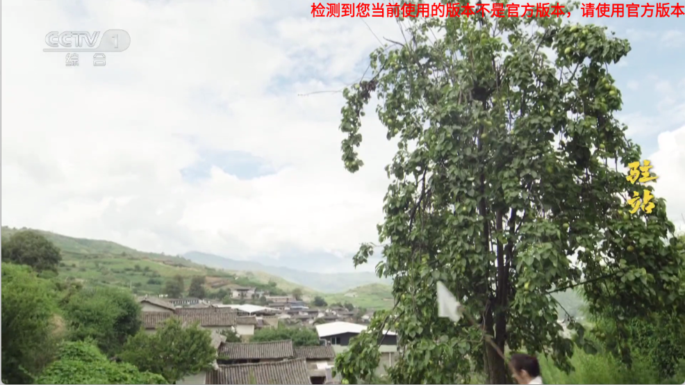 音速直播图1