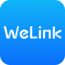 welink v7.41.9
