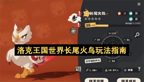 洛克王国中长尾火鸟的玩法攻略