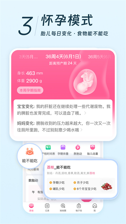 美柚(4)