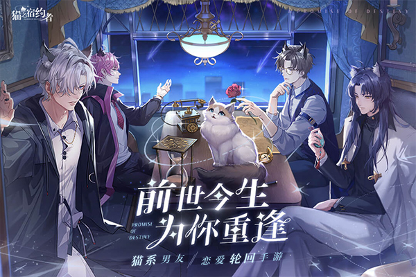 猫之宿约者免费原版截图2