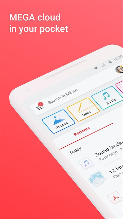 Mega图5