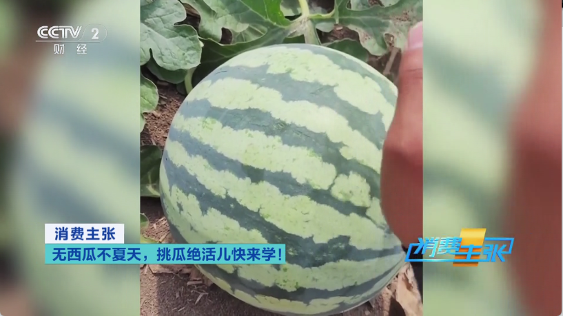 晶奥直播(1)