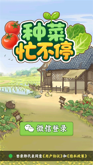 种菜忙不停图3