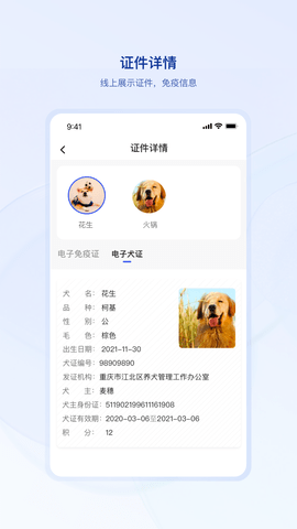 狗联网图2