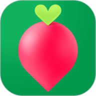 叮咚买菜官方最新版 V12.9.0