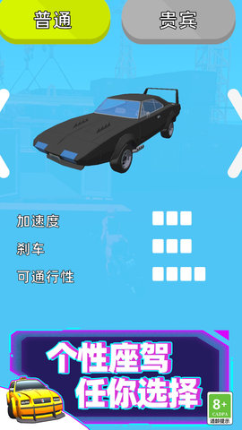 特技赛车手3D(5)