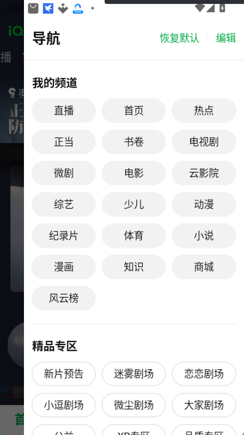 爱奇艺apk图2
