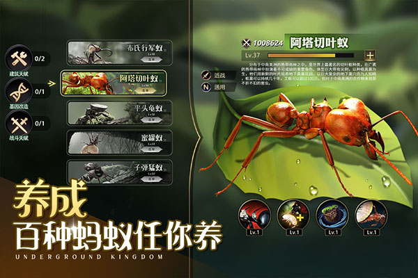 小小蚁国37官服图1