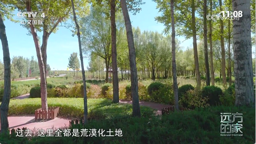 七星电视(1)